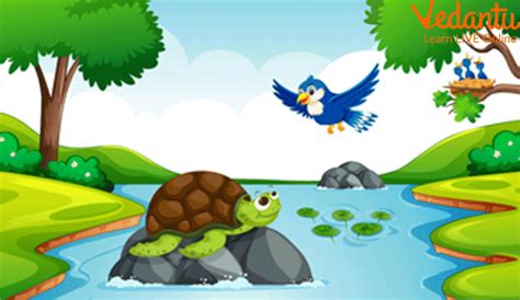  “The Tortoise and the Bird”: A Hilarious Tale of Ambition, Deception, and Unforeseen Consequences!